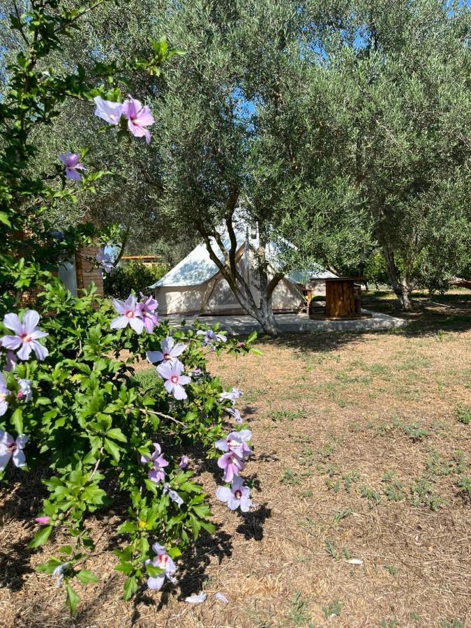 Eco Glamping With Pool Between Nafplio And Argos Bagian luar foto