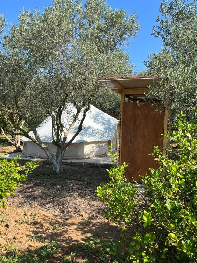 Eco Glamping With Pool Between Nafplio And Argos Bagian luar foto