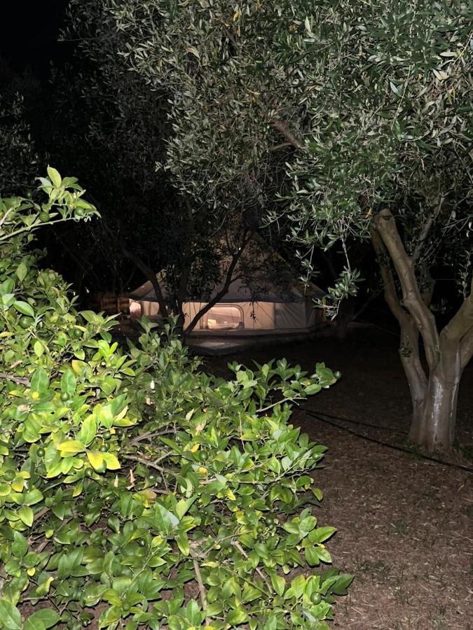 Eco Glamping With Pool Between Nafplio And Argos Bagian luar foto