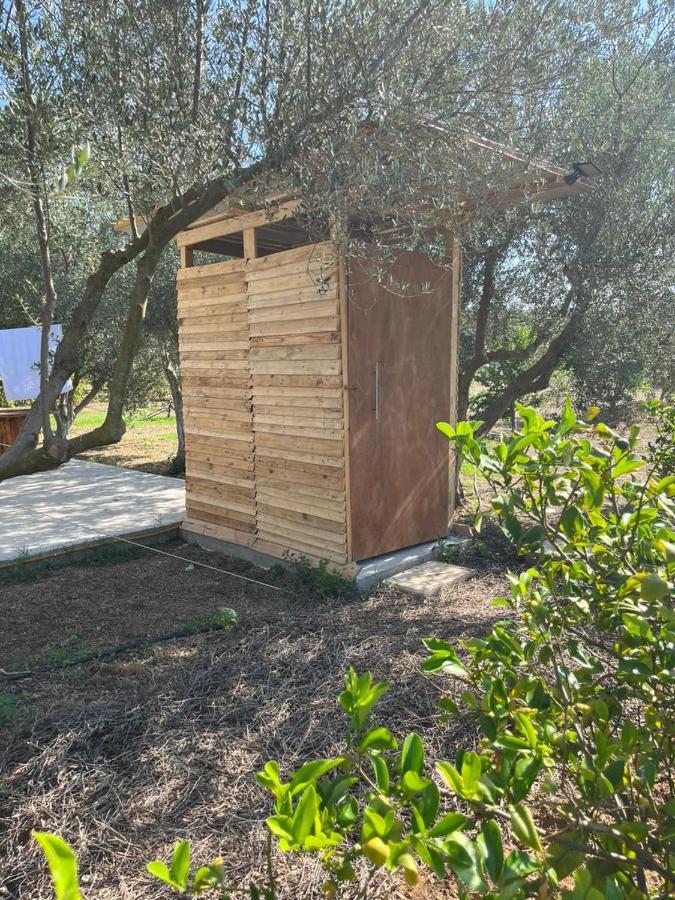 Eco Glamping With Pool Between Nafplio And Argos Bagian luar foto
