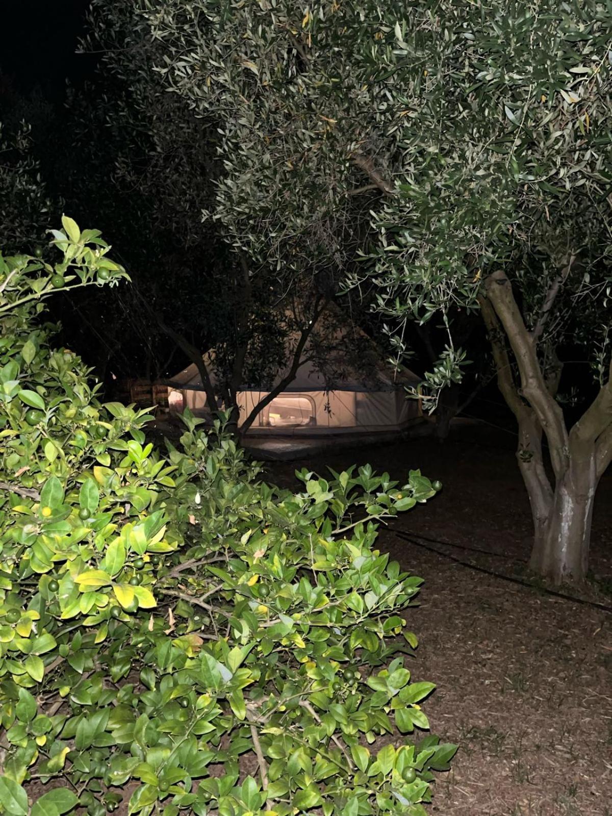 Eco Glamping With Pool Between Nafplio And Argos Bagian luar foto